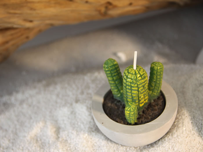 faux plants candles