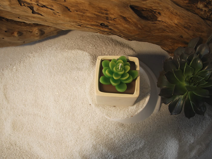 ceramics succulent plants candle