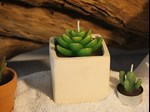 ceramics-succulent-plants-candle