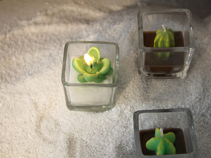 glass cactus plant candle