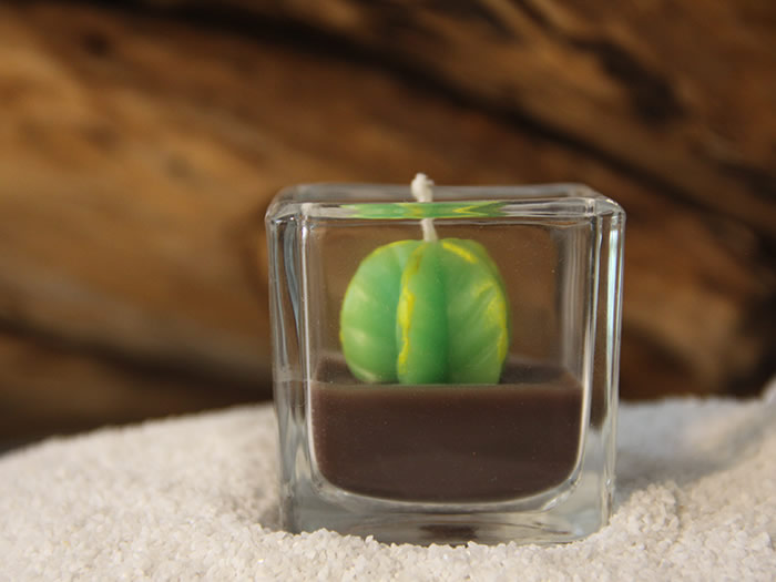 Plant Candle