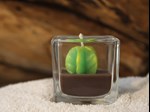 glass cactus plant candle