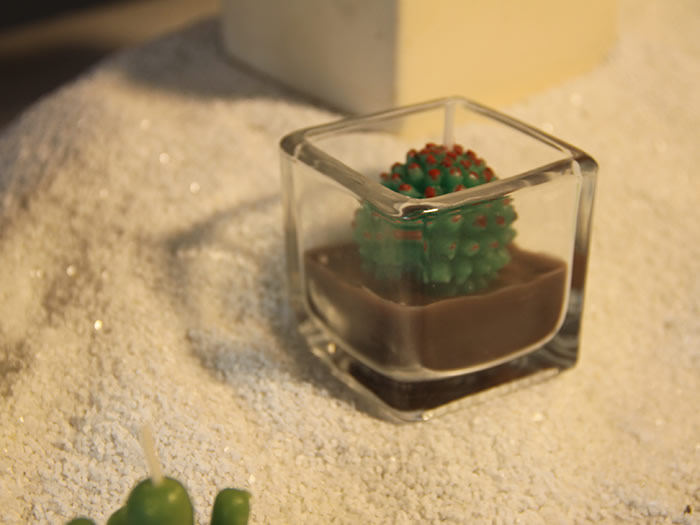 glass cactus plant candle