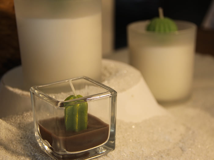 glass cactus plant candle