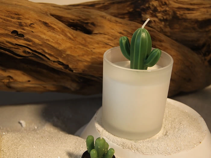 simulation succulent glasss candle