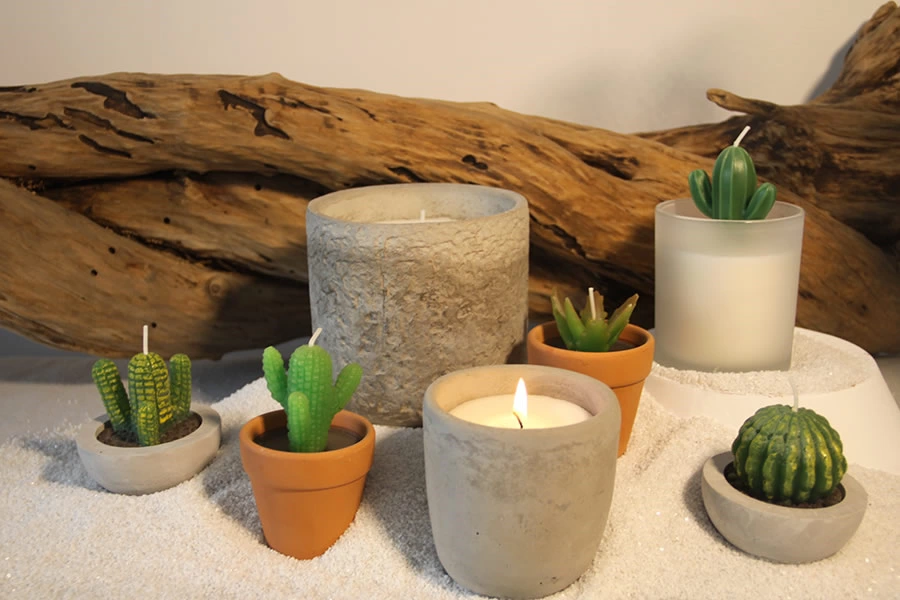 Plant Candle