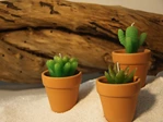 succulent plants candle