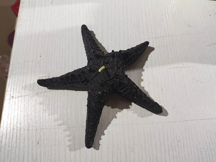 mermaid starfish candle